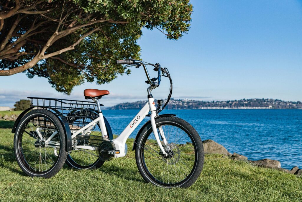 Best Electric Tricycle for Adults