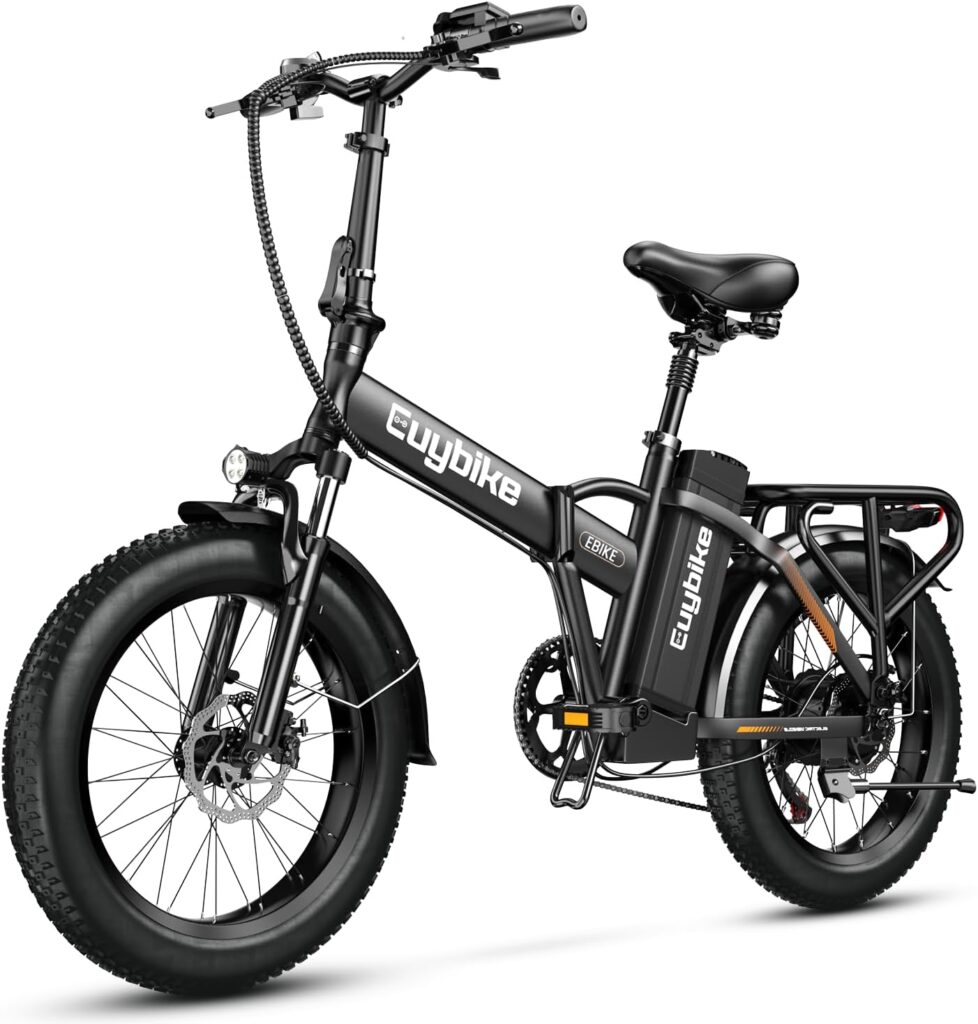 1000W Folding Electric Bike,