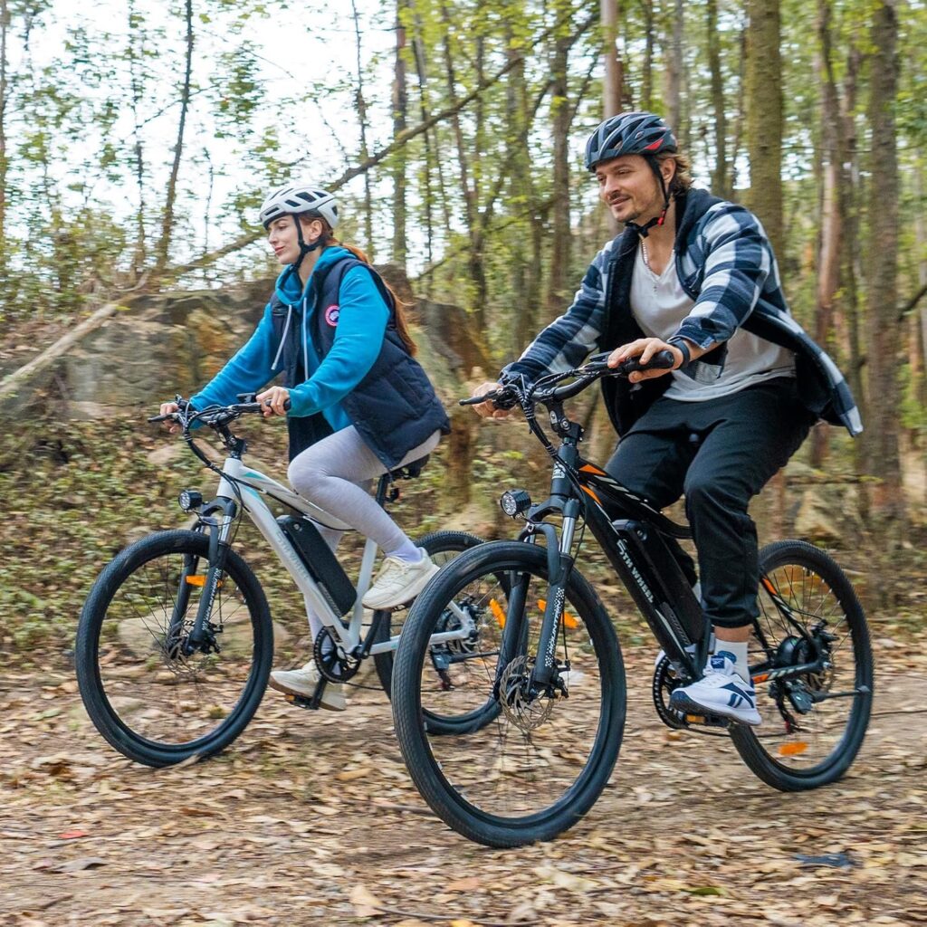 5th Wheel Mate Electric Bike For Adults