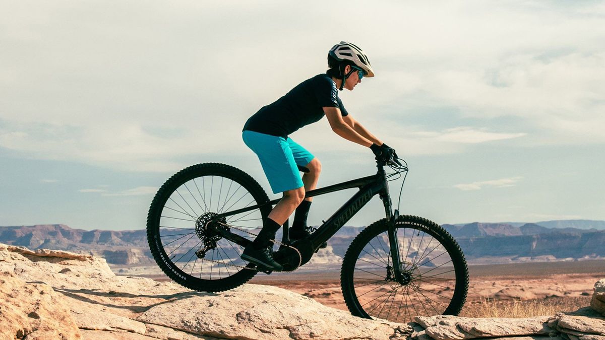 Best Electric Mountain Bike